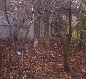 Фото 3. Участок, продажа. Малодолинское