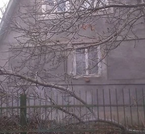 Фото 4. Участок, продажа. Малодолинское