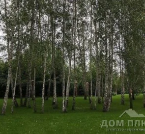 Фото 5. Будинок, продаж. Козин