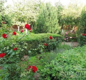 Фото 5. Будинок, продаж. Лісники
