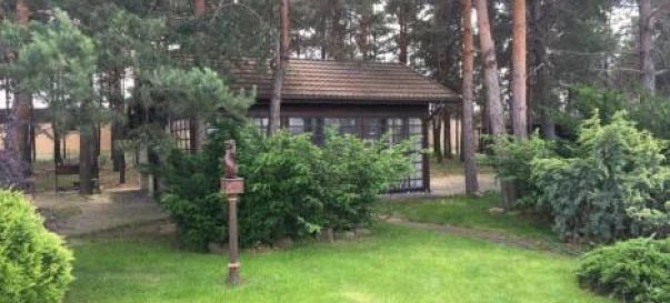 Photo 4. House, for sale. Pliuty