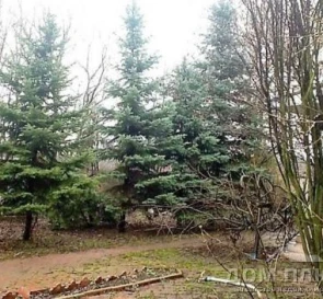 Фото 5. Коммерческая, продажа. Гора