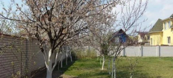 Photo 4. House, for sale. Bucha