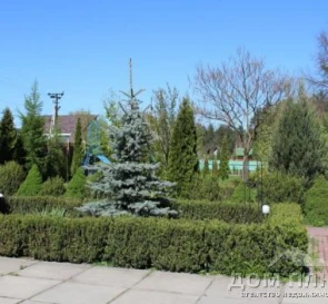 Фото 2. Будинок, продаж. Софіївська Борщагівка