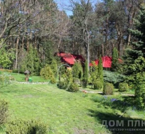 Фото 4. Будинок, продаж. Софіївська Борщагівка