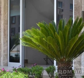 Photo 3. Two-Room flat, for sale. Antalya
