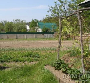Photo 2. Lot, for sale. Protsiv