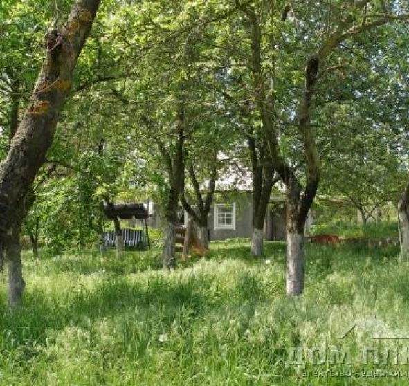 Photo 1. Lot, for sale. Protsiv