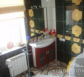 Photo 4. House, to rent. Petropavlivska Borshchahivka