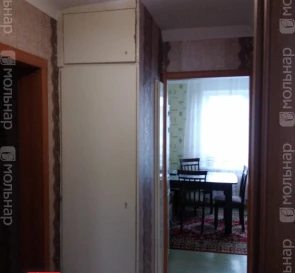 Фото 4. Трехкомнатная квартира, продажа. Дружный
