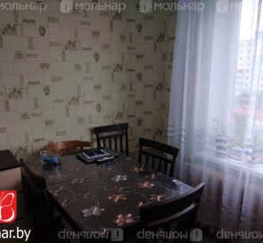 Фото 3. Трехкомнатная квартира, продажа. Дружный