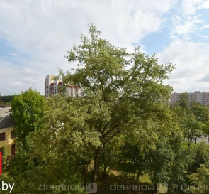 Photo 3. Two-Room flat, for sale. Minsk Советский