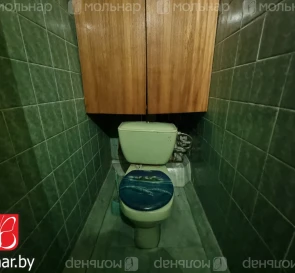 Фото 4. Однокомнатная квартира, продажа. Гродно