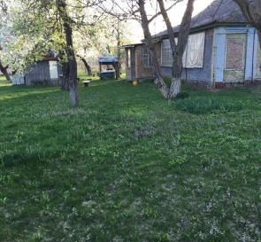 Фото 2. Трехкомнатная квартира, продажа. Мачухи