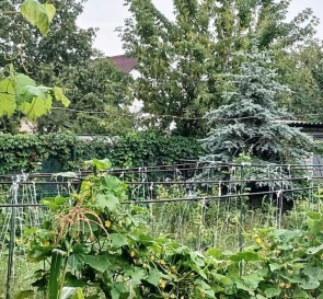 Фото 3. Будинок, продаж. Михайлівка-Рубежівка