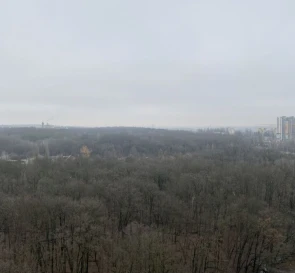 Photo 5. One-Room flat, for sale. Kyiv Голосеевский, Iprodrom
