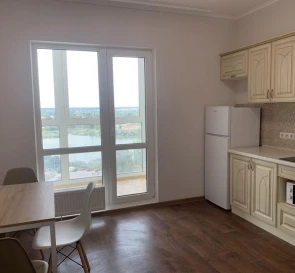 Photo 3. One-Room flat, to rent. Kyiv Дарницкий