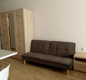 Photo 3. One-Room flat, to rent. Kyiv Дарницкий