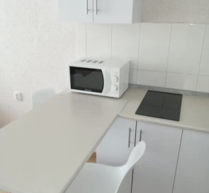 Photo 5. One-Room flat, to rent. Kyiv Дарницкий