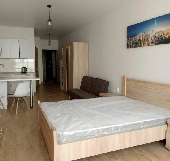 Photo 1. One-Room flat, to rent. Kyiv Дарницкий