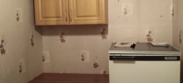 Photo 4. One-Room flat, to rent. Zhytomyr Крошня