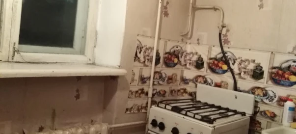 Photo 3. One-Room flat, to rent. Zhytomyr Крошня