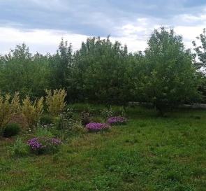 Фото 5. Будинок, продаж. Полтава Киевский