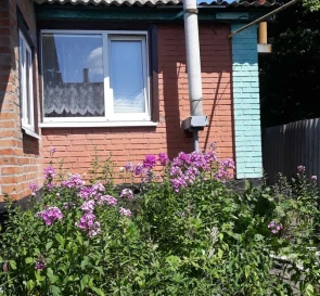Фото 5. Дом, продажа. Макуховка