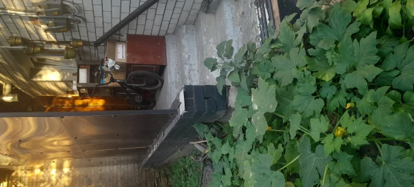 Photo 4. House, for sale. Zhytomyr Центр