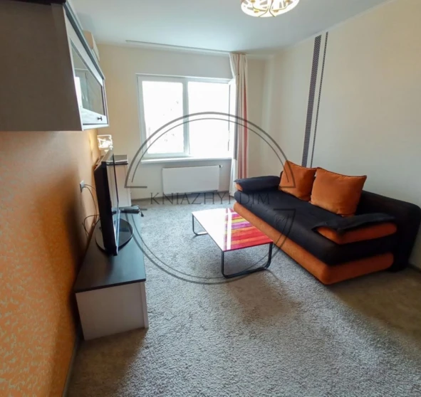 Photo 1. One-Room flat, to rent. Kyiv Дарницкий