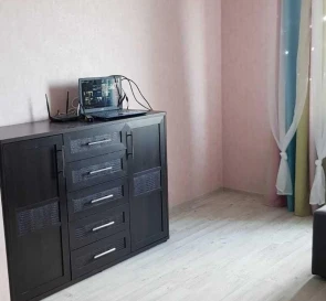 Photo 2. One-Room flat, to rent. Kyiv Дарницкий