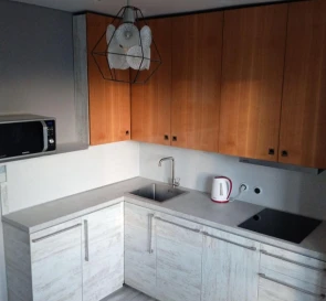 Photo 3. Two-Room flat, to rent. Kyiv Дарницкий