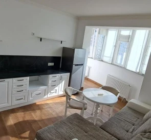 Photo 5. One-Room flat, to rent. Kyiv Дарницкий