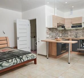 Photo 3. One-Room flat, to rent. Kyiv Дарницкий