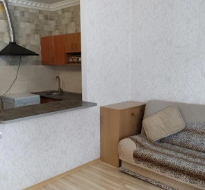 Zdjęcie 3. Kawalerka mieszkanie, do wynajęcia. Kyiv Дарницкий