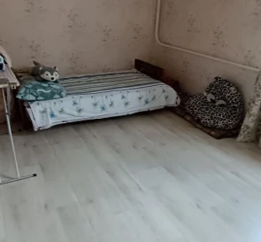 Фото 4. Трехкомнатная квартира, продажа. Мачухи