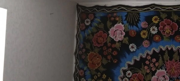 Zdjęcie 4. Dom, na sprzedaż. Zhytomyr Передмістя