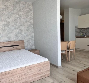 Photo 2. One-Room flat, to rent. Kyiv Дарницкий