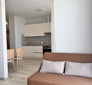 Photo 5. One-Room flat, to rent. Kyiv Дарницкий