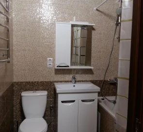 Photo 5. One-Room flat, to rent. Kyiv Дарницкий