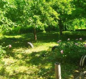 Фото 5. Будинок, продаж. Полтава Подольский