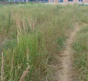 Photo 2. Lot, for sale. Bucha