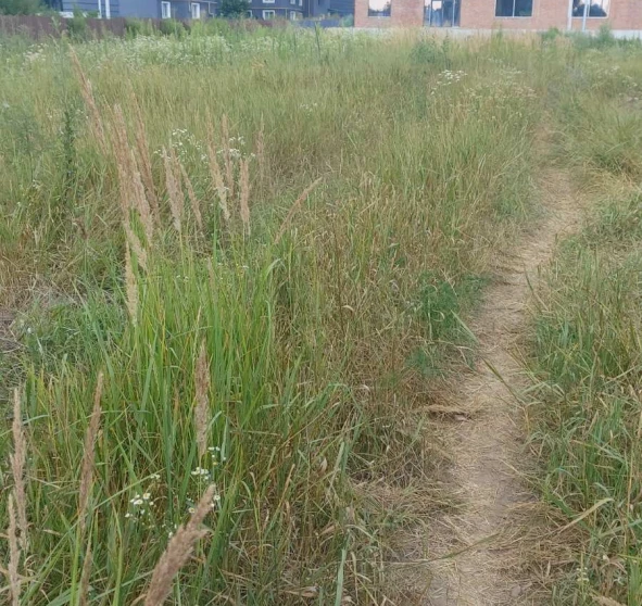 Photo 1. Lot, for sale. Bucha