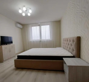 Photo 5. One-Room flat, to rent. Kyiv Дарницкий