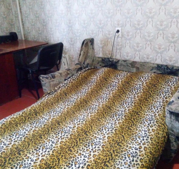 Photo 1. One-Room flat, to rent. Poltava Шевченковский (Октябрьский)
