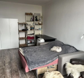 Zdjęcie 3. Kawalerka mieszkanie, na sprzedaż. Petropavlivska Borshchahivka