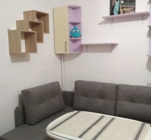 Photo 2. One-Room flat, for sale. Sofiivska Borshchahivka