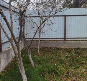 Foto 4. Terreno, en venta. Boiarka