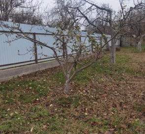 Foto 5. Terreno, en venta. Boiarka