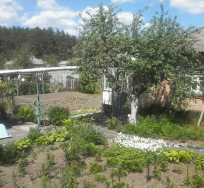 Photo 2. House, for sale. Zintsi